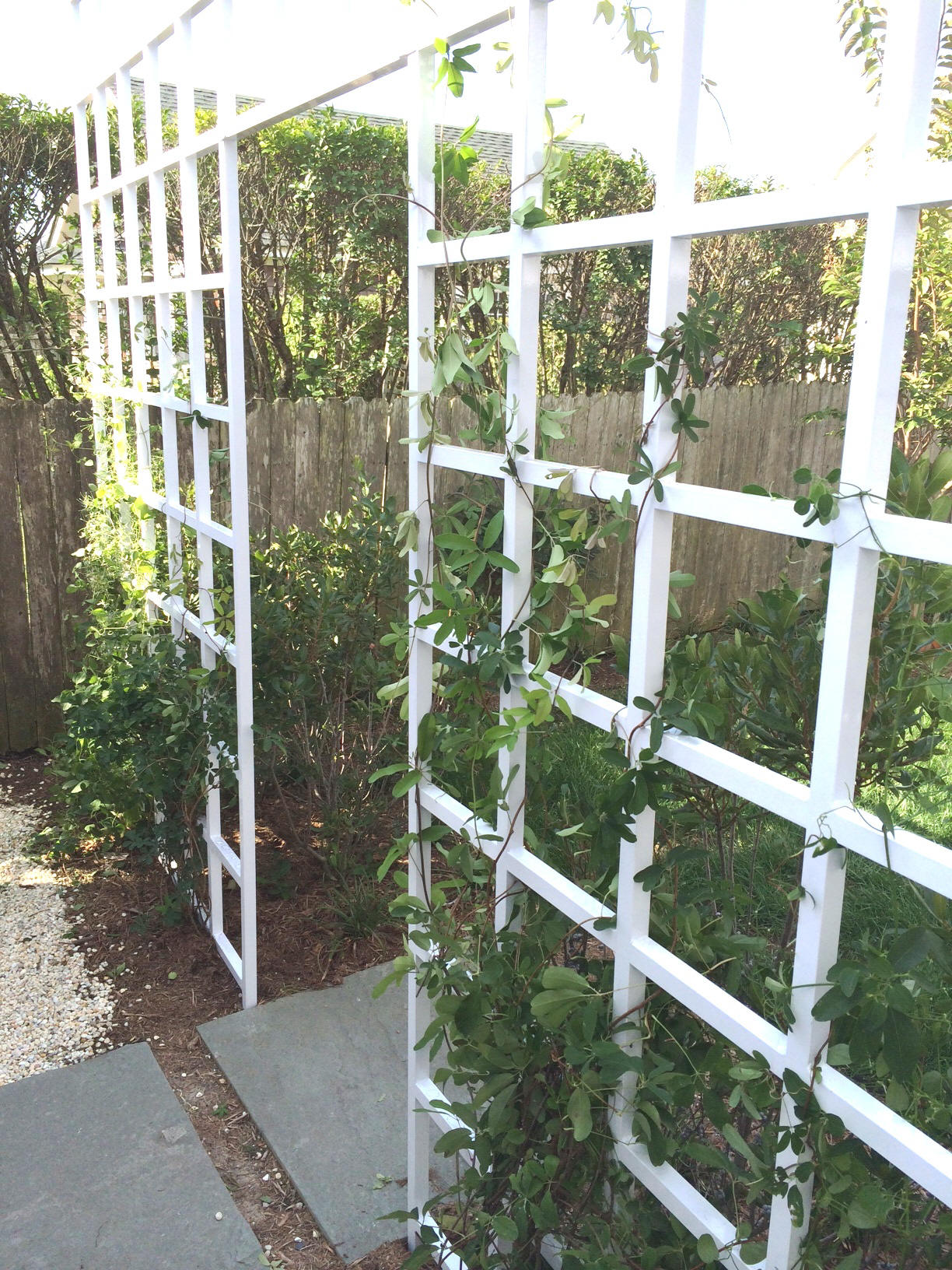 Garden Metalwork Long lasting Trellis